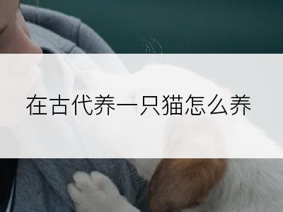 在古代养一只猫怎么养