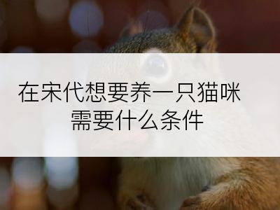 在宋代想要养一只猫咪需要什么条件