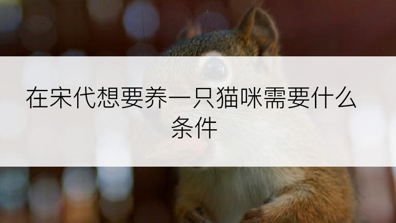 在宋代想要养一只猫咪需要什么条件