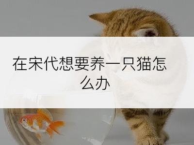 在宋代想要养一只猫怎么办