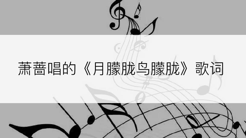 萧蔷唱的《月朦胧鸟朦胧》歌词