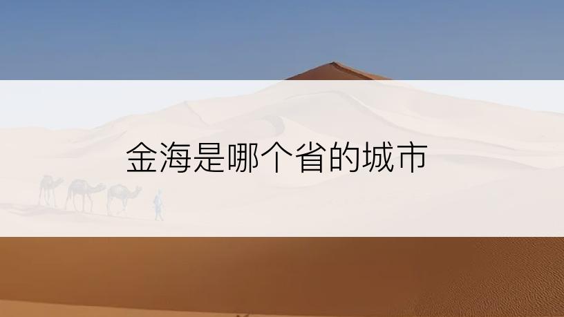 金海是哪个省的城市
