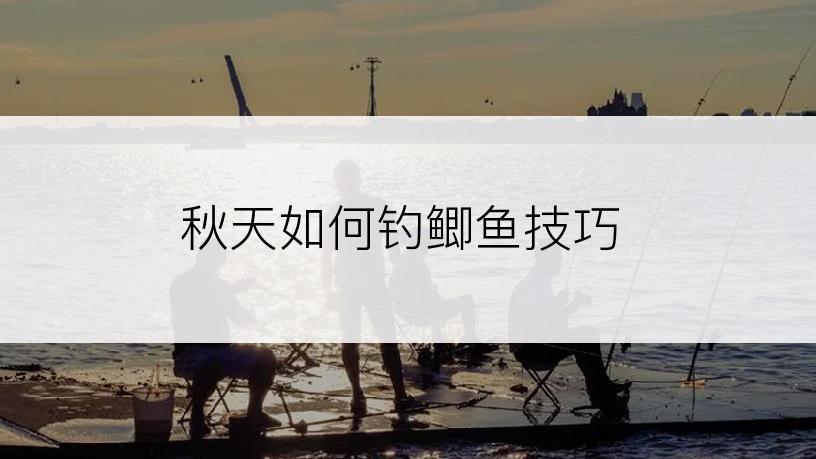 秋天如何钓鲫鱼技巧