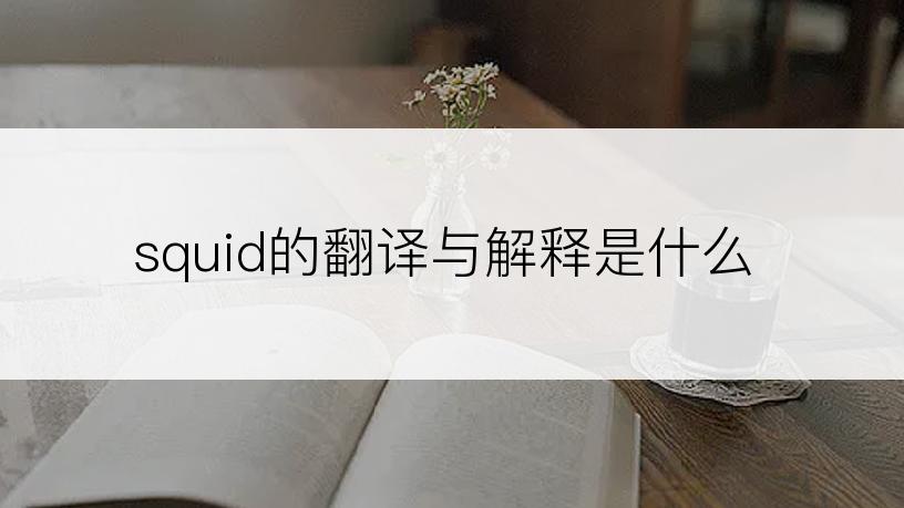 squid的翻译与解释是什么