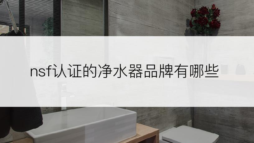 nsf认证的净水器品牌有哪些
