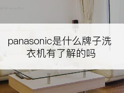 panasonic是什么牌子洗衣机有了解的吗