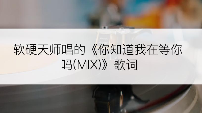 软硬天师唱的《你知道我在等你吗(MIX)》歌词