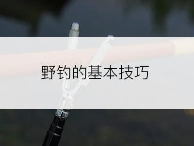 野钓的基本技巧