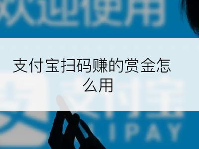 支付宝扫码赚的赏金怎么用