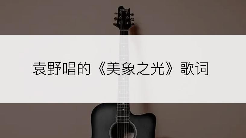 袁野唱的《美象之光》歌词