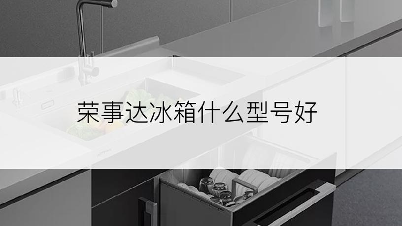 荣事达冰箱什么型号好