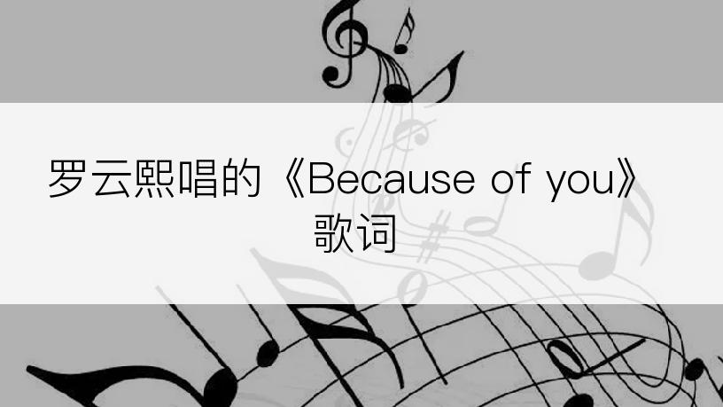 罗云熙唱的《Because of you》歌词