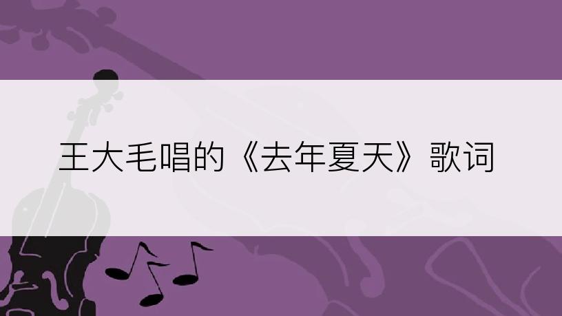 王大毛唱的《去年夏天》歌词