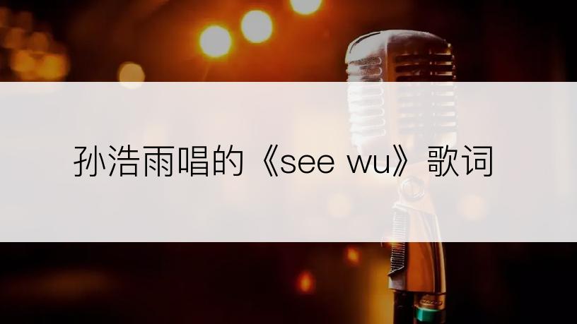 孙浩雨唱的《see wu》歌词