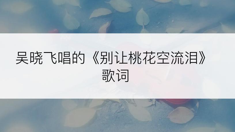 吴晓飞唱的《别让桃花空流泪》歌词