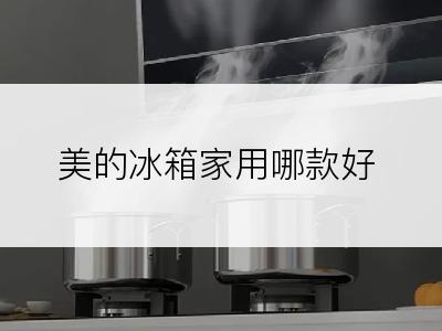 美的冰箱家用哪款好
