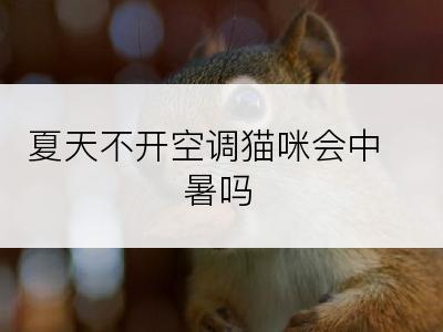 夏天不开空调猫咪会中暑吗
