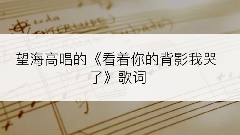 望海高唱的《看着你的背影我哭了》歌词