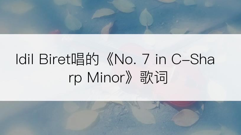 Idil Biret唱的《No. 7 in C-Sharp Minor》歌词