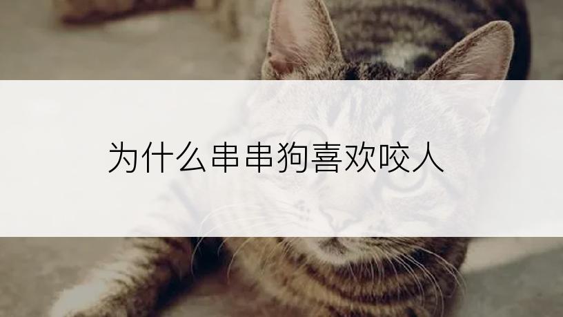为什么串串狗喜欢咬人