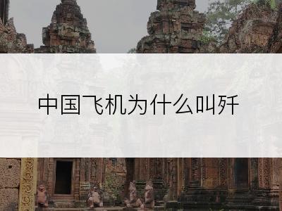 中国飞机为什么叫歼