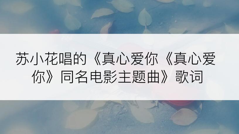 苏小花唱的《真心爱你《真心爱你》同名电影主题曲》歌词