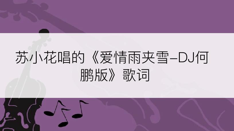 苏小花唱的《爱情雨夹雪-DJ何鹏版》歌词