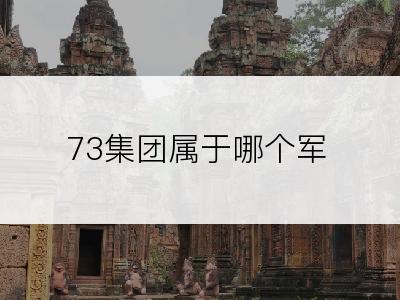 73集团属于哪个军