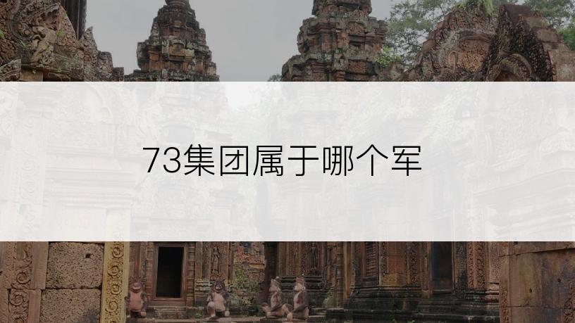 73集团属于哪个军