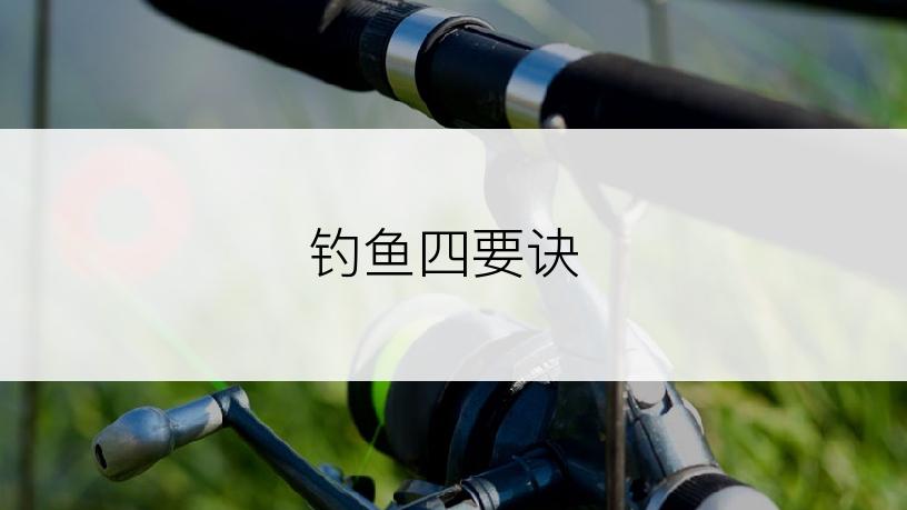 钓鱼四要诀
