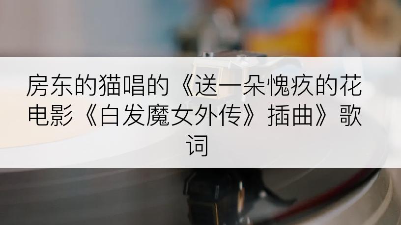 房东的猫唱的《送一朵愧疚的花电影《白发魔女外传》插曲》歌词