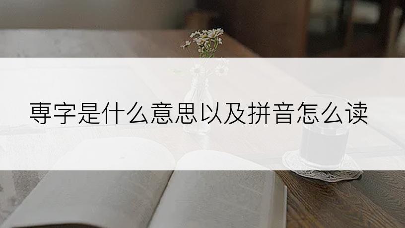 専字是什么意思以及拼音怎么读