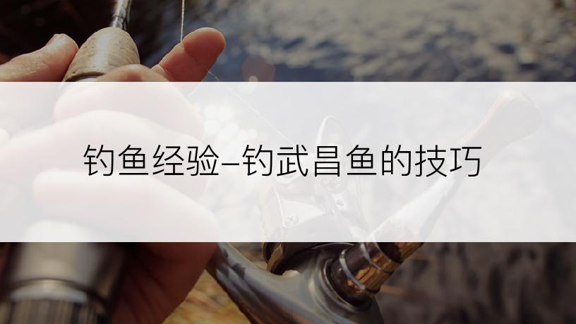 钓鱼经验-钓武昌鱼的技巧