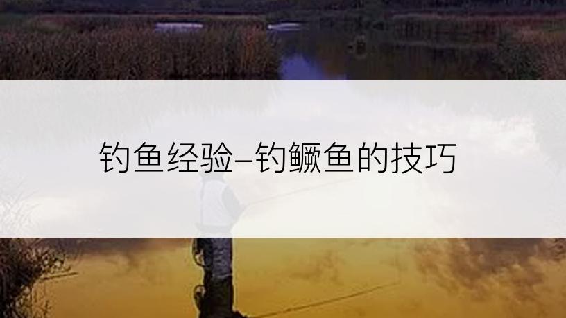 钓鱼经验-钓鳜鱼的技巧