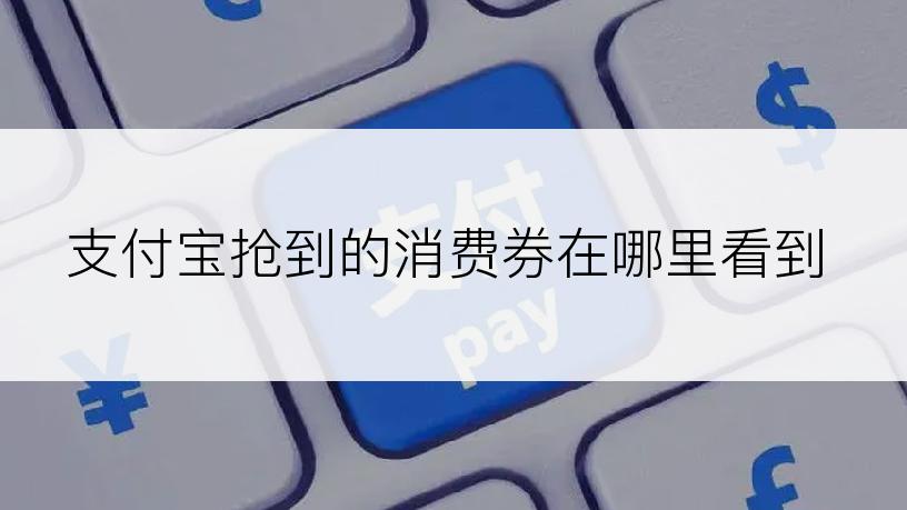 支付宝抢到的消费券在哪里看到