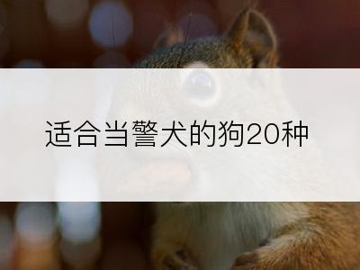 适合当警犬的狗20种