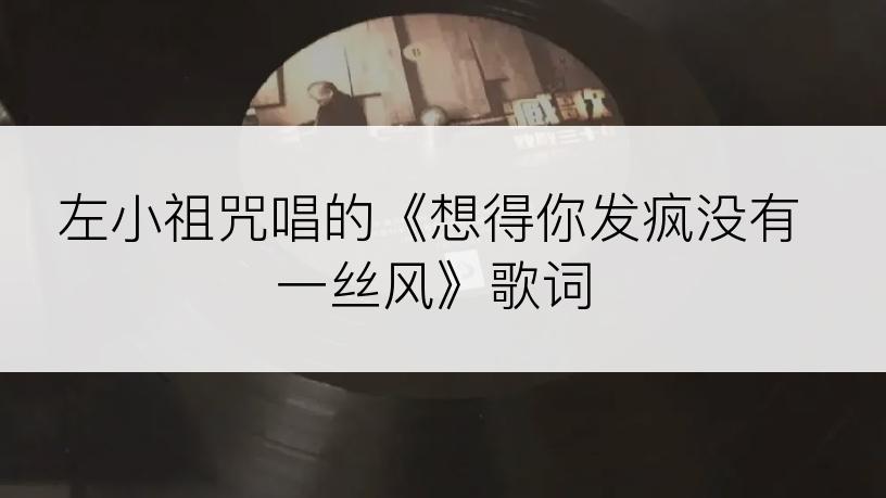 左小祖咒唱的《想得你发疯没有一丝风》歌词