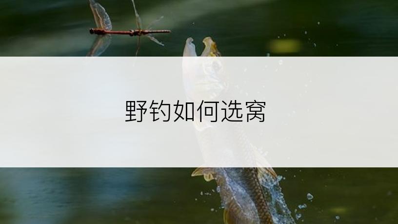 野钓如何选窝
