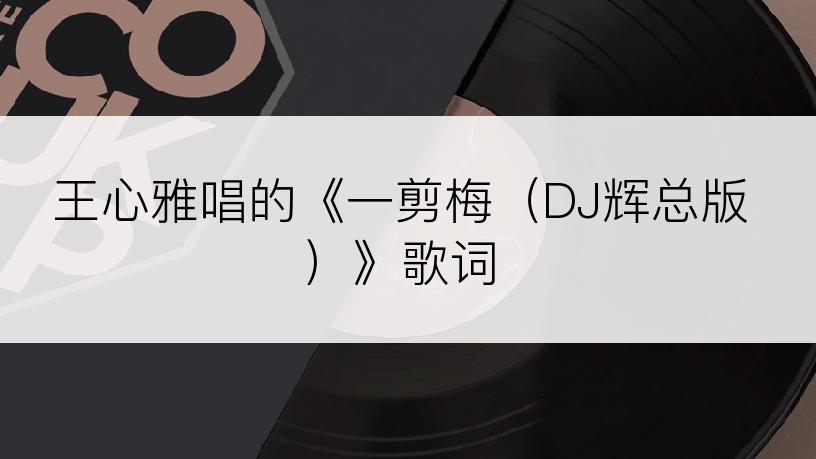 王心雅唱的《一剪梅（DJ辉总版）》歌词