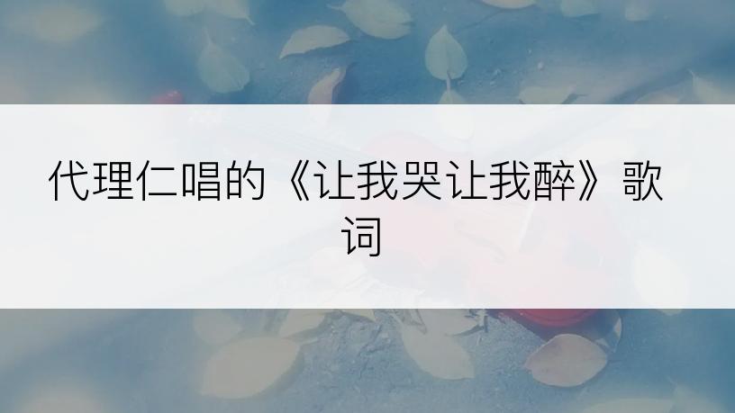 代理仁唱的《让我哭让我醉》歌词