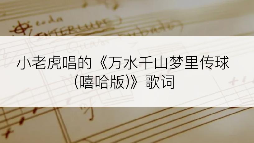 小老虎唱的《万水千山梦里传球(嘻哈版)》歌词