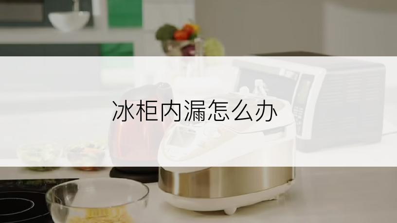 冰柜内漏怎么办