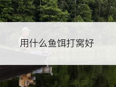 用什么鱼饵打窝好