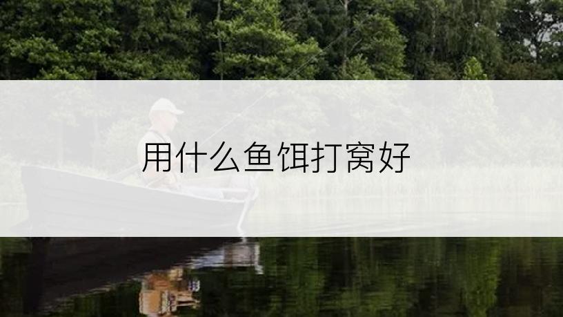 用什么鱼饵打窝好