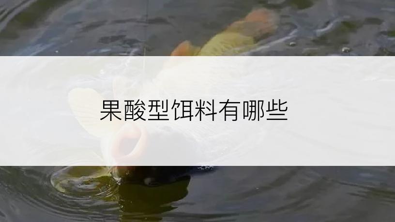 果酸型饵料有哪些