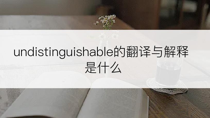 undistinguishable的翻译与解释是什么