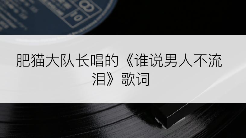 肥猫大队长唱的《谁说男人不流泪》歌词