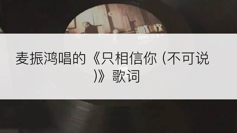 麦振鸿唱的《只相信你 (不可说)》歌词