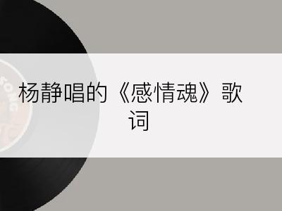 杨静唱的《感情魂》歌词