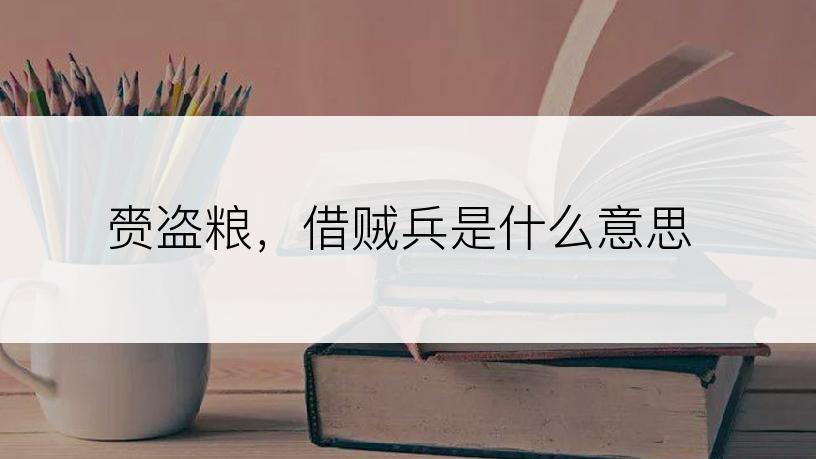赍盗粮，借贼兵是什么意思